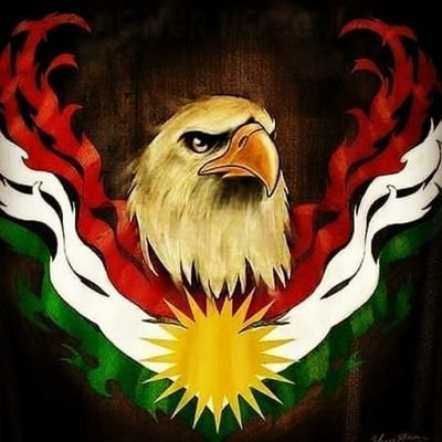 peshmergeygel Profile Picture