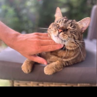 Ndru8588's profile picture.