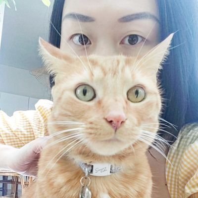 Doctorante à EHESS, CéSor/Byzantiniste/Histoire urbaine/Diplôme de l'amour aux chats🐱💕/Yu(u),Yum,Yougnon,Youyou,Youni comme vous voulez