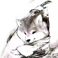 犬币君i (@otmn597384) 's Twitter Profile Photo 犬币君i (@otmn597384) 's Twitter Profile Photo