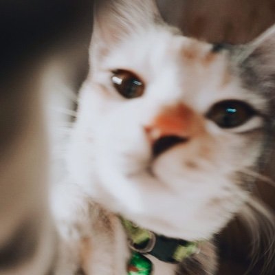 alsuratna's profile picture. Arti dari namaku adalah bidadari.