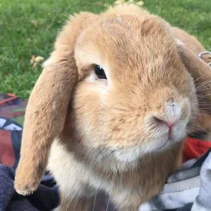 mr_blxssxd's profile picture. 