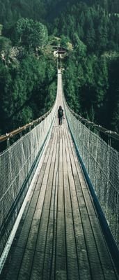 stepstep562853's profile picture. 