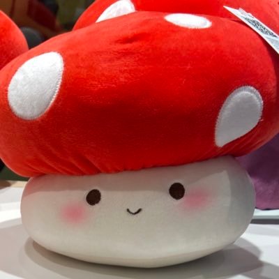 ttoeytoeytoeyy's profile picture. 