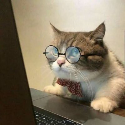 comentarista informal e engenheiro de software nas horas vagas