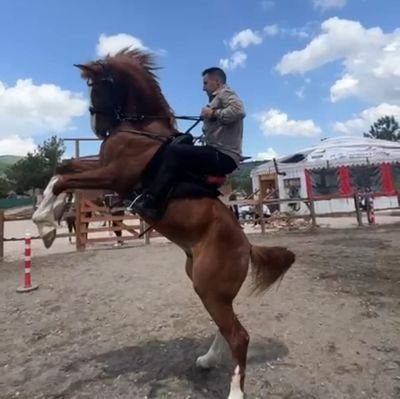 Güneş ufuktan şimdi doğar yürüyelim arkadaşlar
🇹🇷🇦🇿☀️