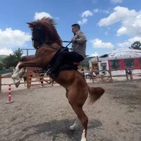 Orkun Özeller (@orkunozeller) 's Twitter Profile Photo