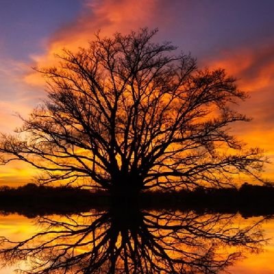 M_Bay_'s profile picture. 