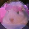 ddytesizebb's profile picture. i am going to say so many stupid things (bytes alt)