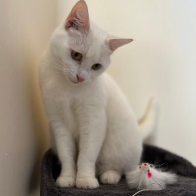 MobbsDonna's profile picture. Always give 100% unless you are giving blood.