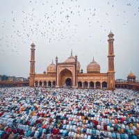 المرصد (@1ndia_m) 's Twitter Profile Photo المرصد (@1ndia_m) 's Twitter Profile Photo