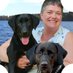 Karen Rice | Keller Williams RE (@lakelivingpa) Twitter profile photo Karen Rice | Keller Williams RE (@lakelivingpa) Twitter profile photo