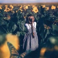 طيف كنعان (@taayfe1) 's Twitter Profile