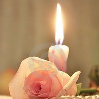 💎Noralkoon💎 (@noralkoon6) 's Twitter Profile Photo