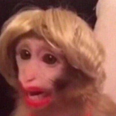 omarthecoolkid's profile picture. I still didn't figure out what to put here. It's been a year and a half