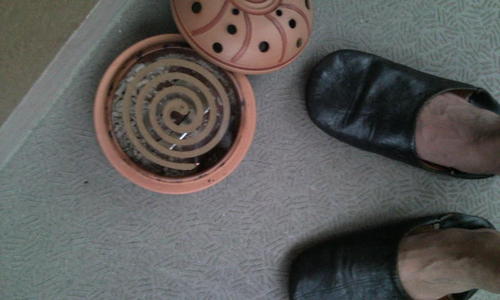 nanashichiri's profile picture. 名古屋在住JEFサポ