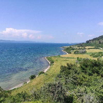 Antikrakfa
Kürtçü ve Alevici lobi düşmanı