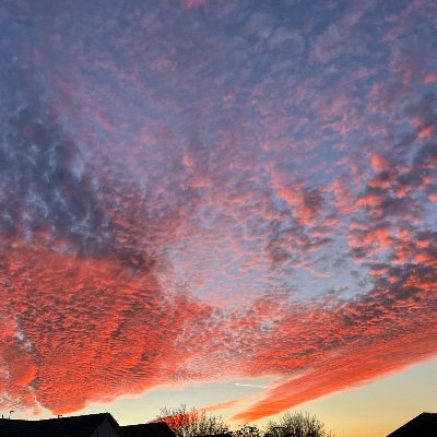 BigluvAk's profile picture. 🇺🇸🇺🇸🇺🇸