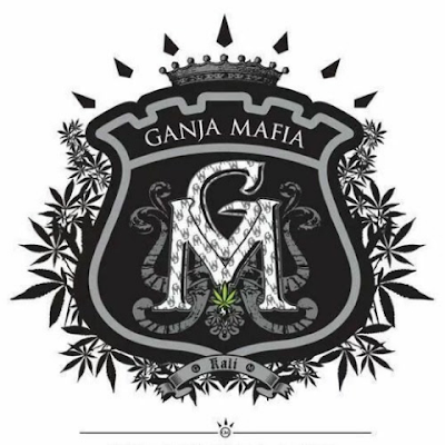 PjoterP72232's profile picture. 