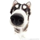 Brady Hall - @bradyhall1917 - Twitter