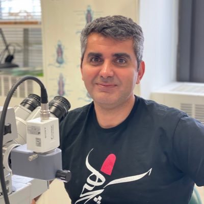 amin_haghani's profile picture. Aging Scientist Advancing Healthspan: Exploring Molecular Mechanisms & Rejuvenation @Altos_labs