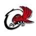 OHS_LadyOwls (@ohs_ladyohoops) Twitter profile photo OHS_LadyOwls (@ohs_ladyohoops) Twitter profile photo