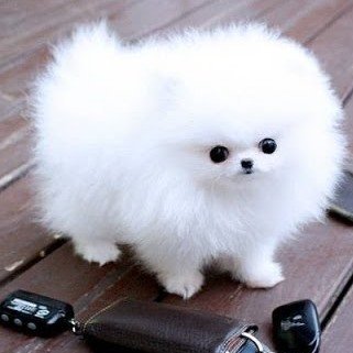 giang012345610's profile picture. he