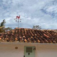 Novato en BVC🇨🇴 (@millerocolombia) 's Twitter Profile Photo Novato en BVC🇨🇴 (@millerocolombia) 's Twitter Profile Photo
