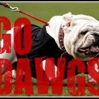 Between The Hedges(@betweenhedges) 's Twitter Profile Photo