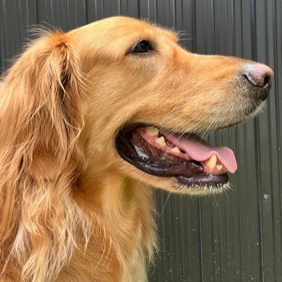 liz_sarco's profile picture. Peruana. Ingeniera civil. Amante de la buena música, arte y cine. Disfruto del buen comer.