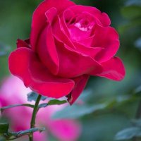 أحمد المالح الخفاجي (@dnnlkfjy3) Twitter profile photo