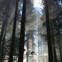 Lila Bryant - @bryant_lil2579 - Twitter