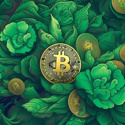 Bitcoin Cash (BCH), because decentralized money is the real innovation