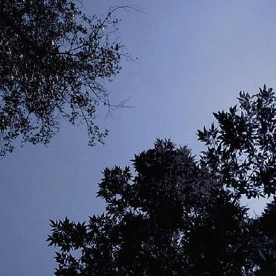 Evany_cg's profile picture. 