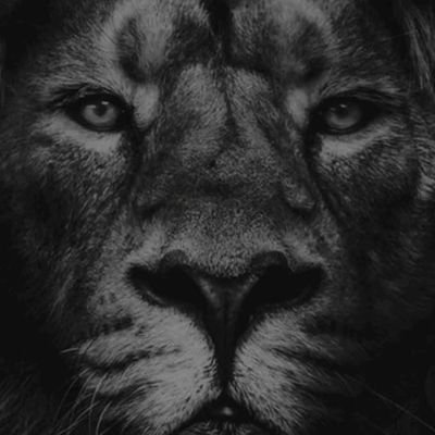 VMarques81's profile picture. Grêmio