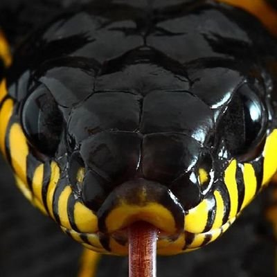 ScottWeste47753's profile picture. 