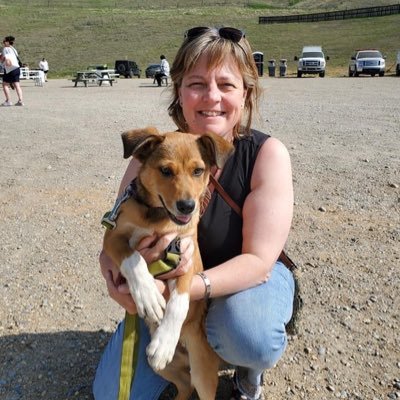 Parent, Cochrane Town Councillor, Rider of Horses, Reader of Books, Writer of Words, Hiker of Trails