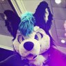 HuskyReckless's profile picture. 26, single , fursuiter "- Reckless the Husky" - B day, 3/16. From kentucky