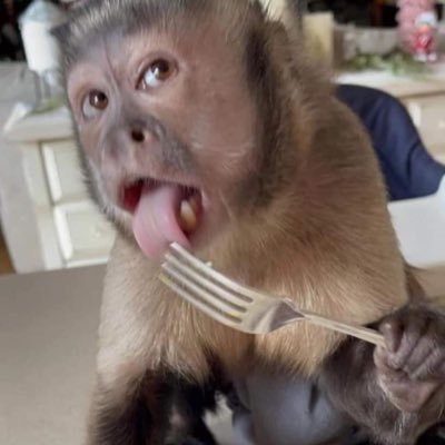 monkeypoxxxxx's profile picture. 