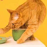 やまじい🍀 (@tevb1212) 's Twitter Profile