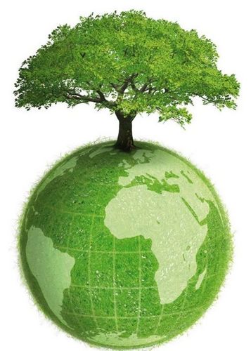 Our Organizations goal is to prevent global warming, polution of the air, water and land, to prevent forest fires, save the rain forests ect.