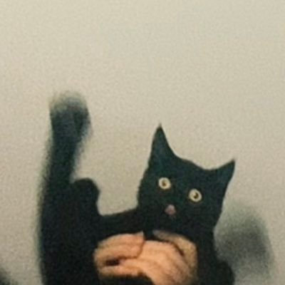 Flgead's profile picture. yep reformed | Ex-Brand Risk #BillsMafia