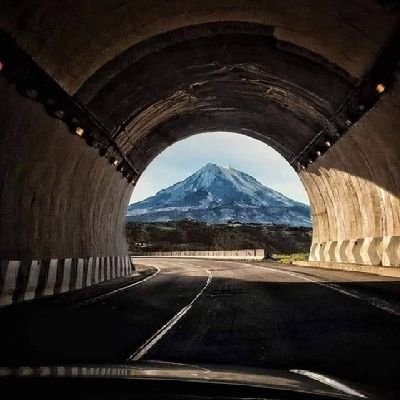 marantohdez's profile picture. 