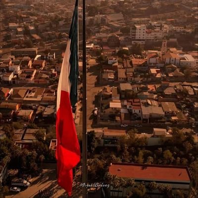 EL MUNDO🌺 MULTIPOLAR
ANDRÉS MANUEL 🇲🇽🇲🇽
GOBIERNO CON DIGNIDAD 🌹🌺🇲🇽4T🌺🌹🌹🌹🌹