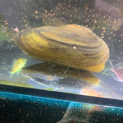 wq988808's profile picture. 