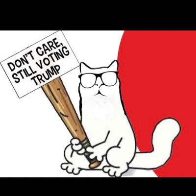 MRich99872316's profile picture. MAGA!!