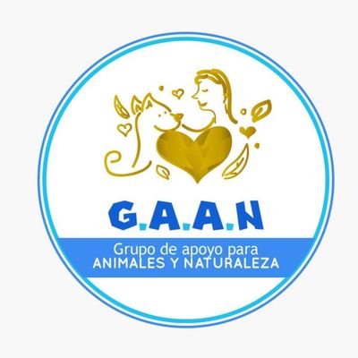 GaanQuito88021's profile picture. 