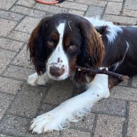 Nutz (@keir_mcq) 's Twitter Profile
