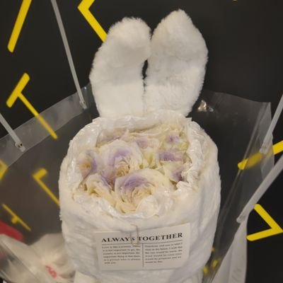 dodoc028's profile picture. 