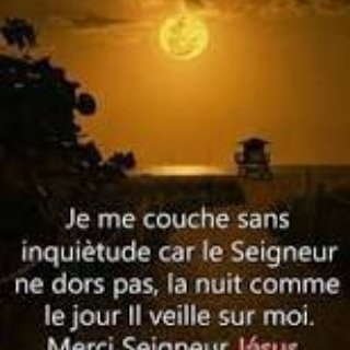 teddy_0322's profile picture. 